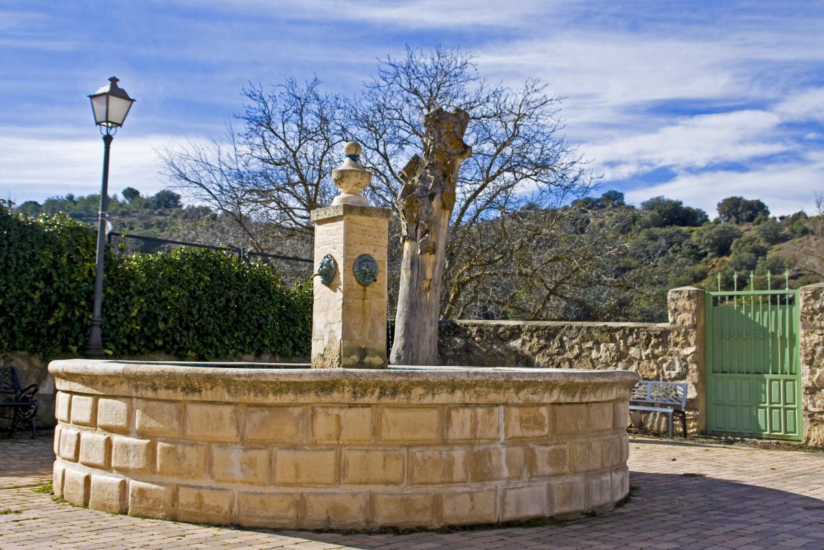 ARRANCACEPAS Alcarria Conquense