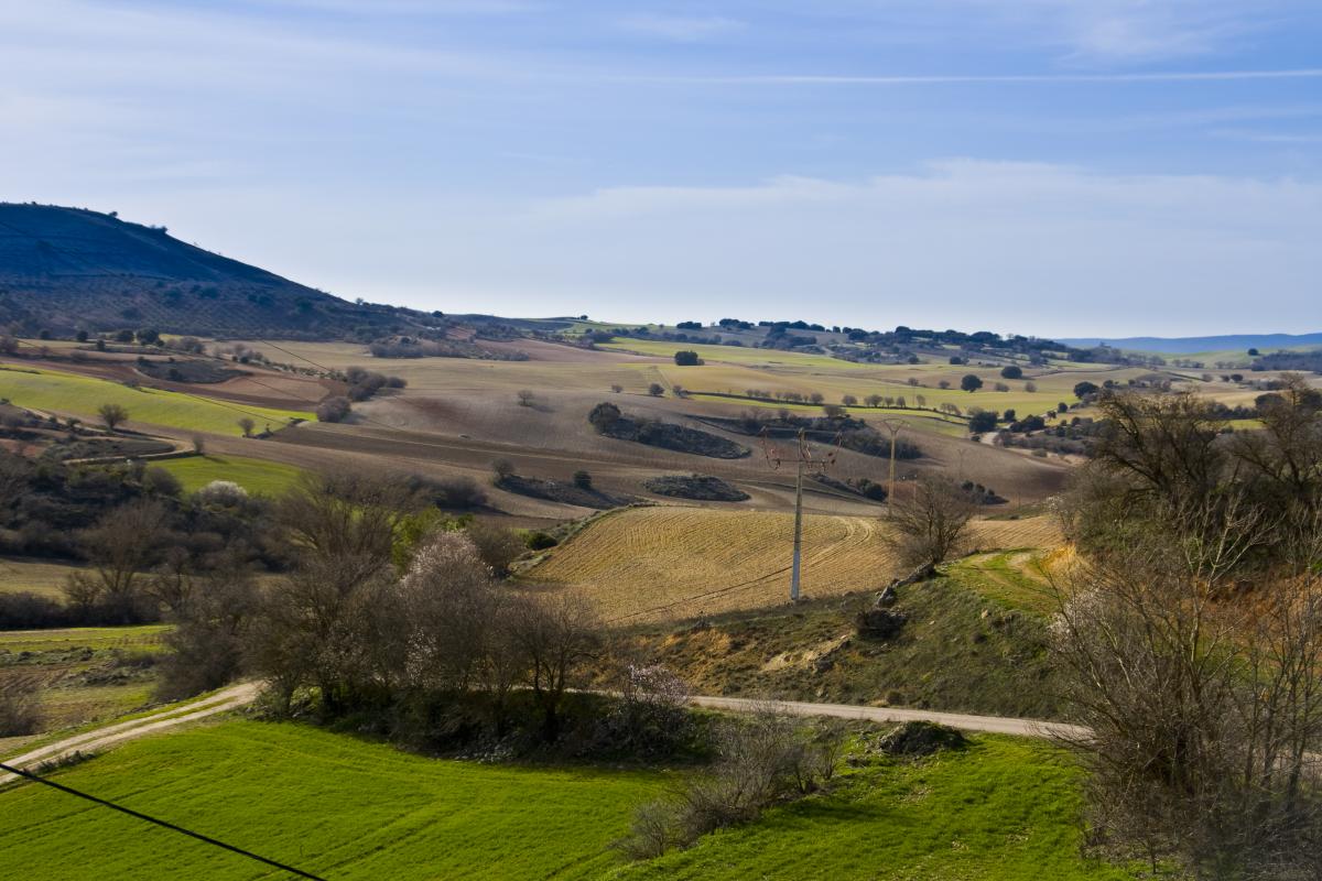 LA LANGA Alcarria Conquense