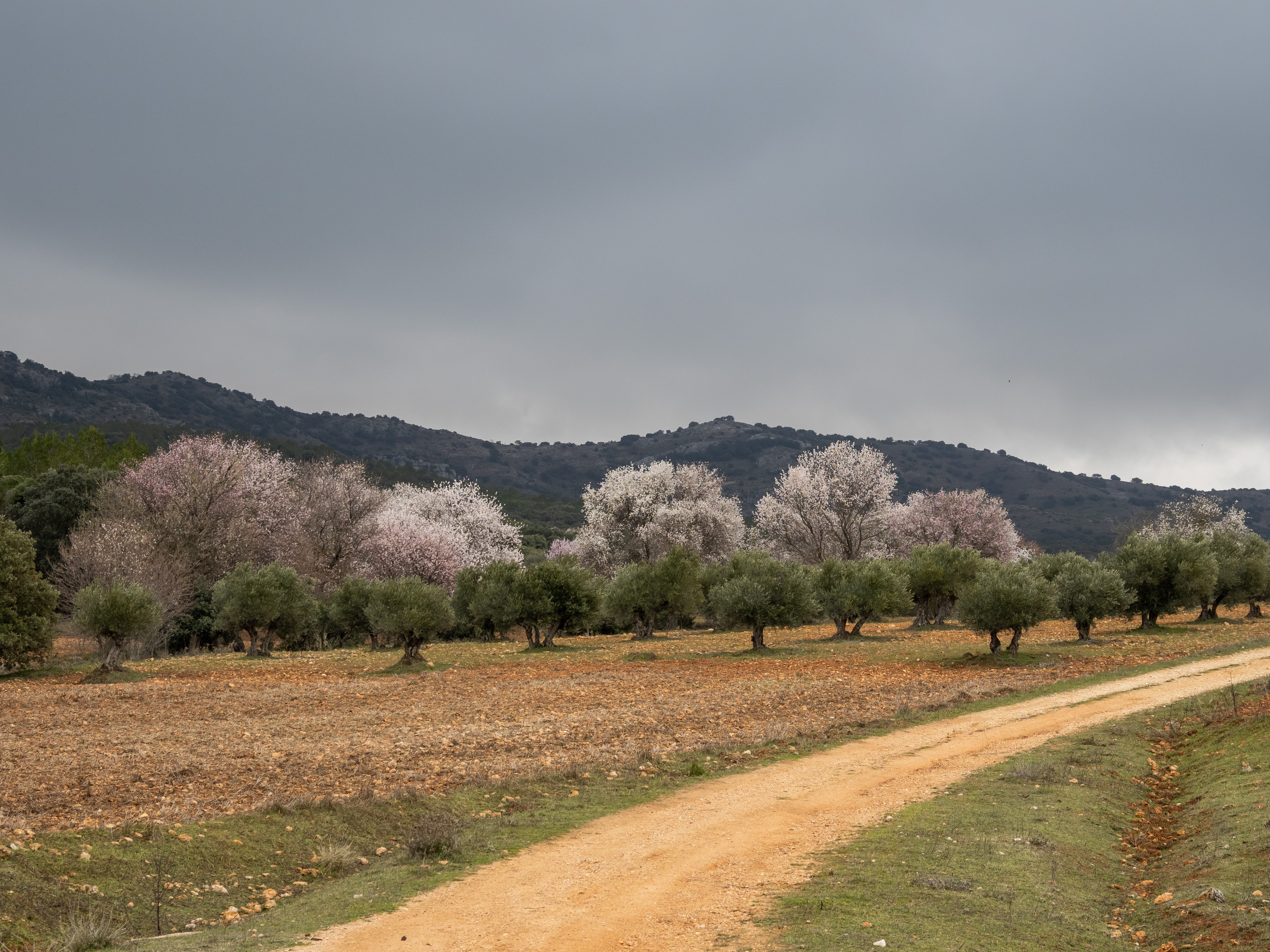 PR-CU 40. CAMINO DE ALTOMIRA