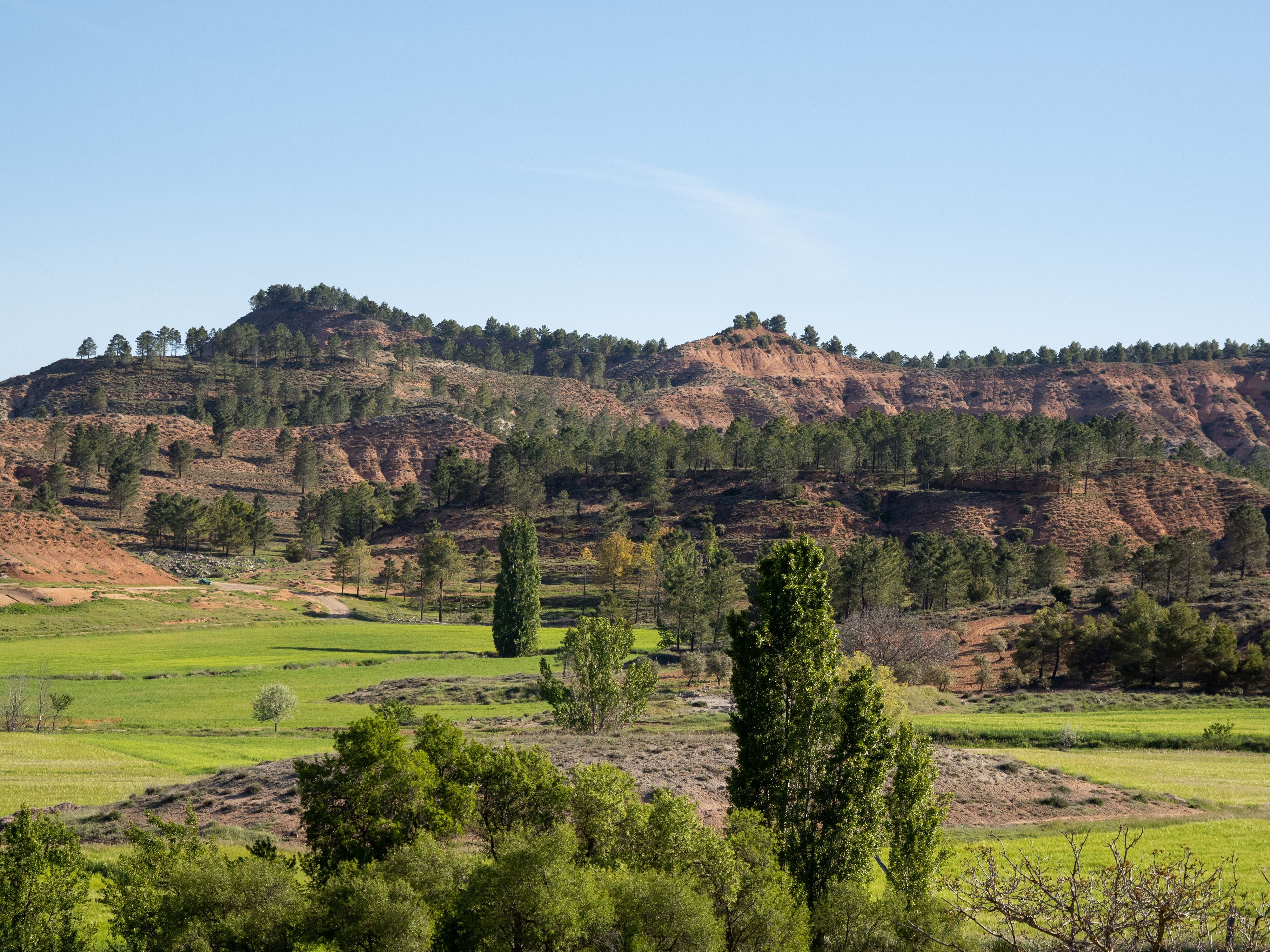 PR-CU 48. RUTA DE LA ALCARRIA  A LA SIERRA