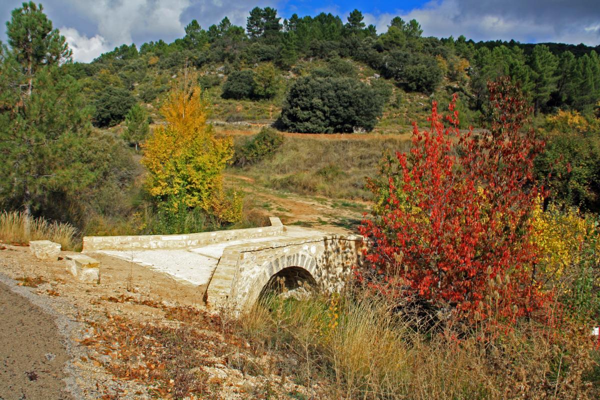 VINDEL Alcarria Conquense