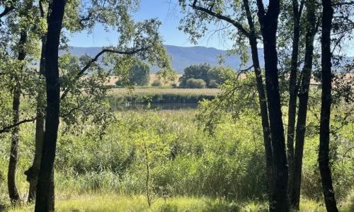 Dehesa Boyal de Alcantud