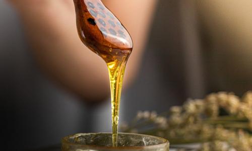 ARROYO DE MIEL (CANALES DEL ARROYO)