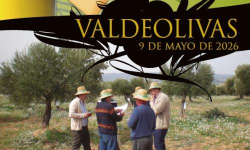 LA FIESTA DEL OLIVO DE LA ALCARRIA