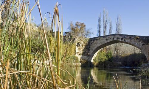PUENTE ALLENDE (PRIEGO)