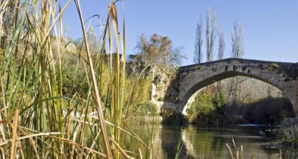 PUENTE ALLENDE (PRIEGO)